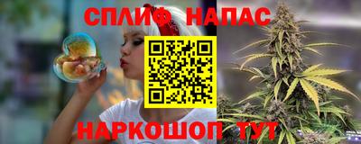 mdpv Можга